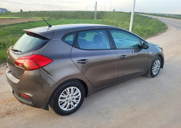 Kia Ceed cena 39900 przebieg: 117000, rok produkcji 2014 z Świdnik małe 137